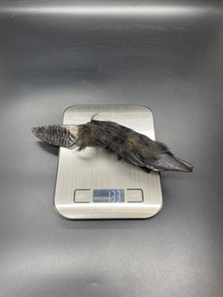 Обсидиановый нож с рукоятью копыта вепря 24 см