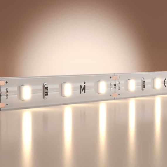Светодиодная лента Maytoni Led Strip 201163