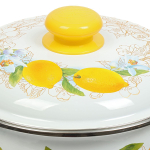 Кастрюля сталь, эмал, 4 л, с крыш, крышка сталь, сферическая, Сиб товары, Лимоны, 3MC201P, индукц