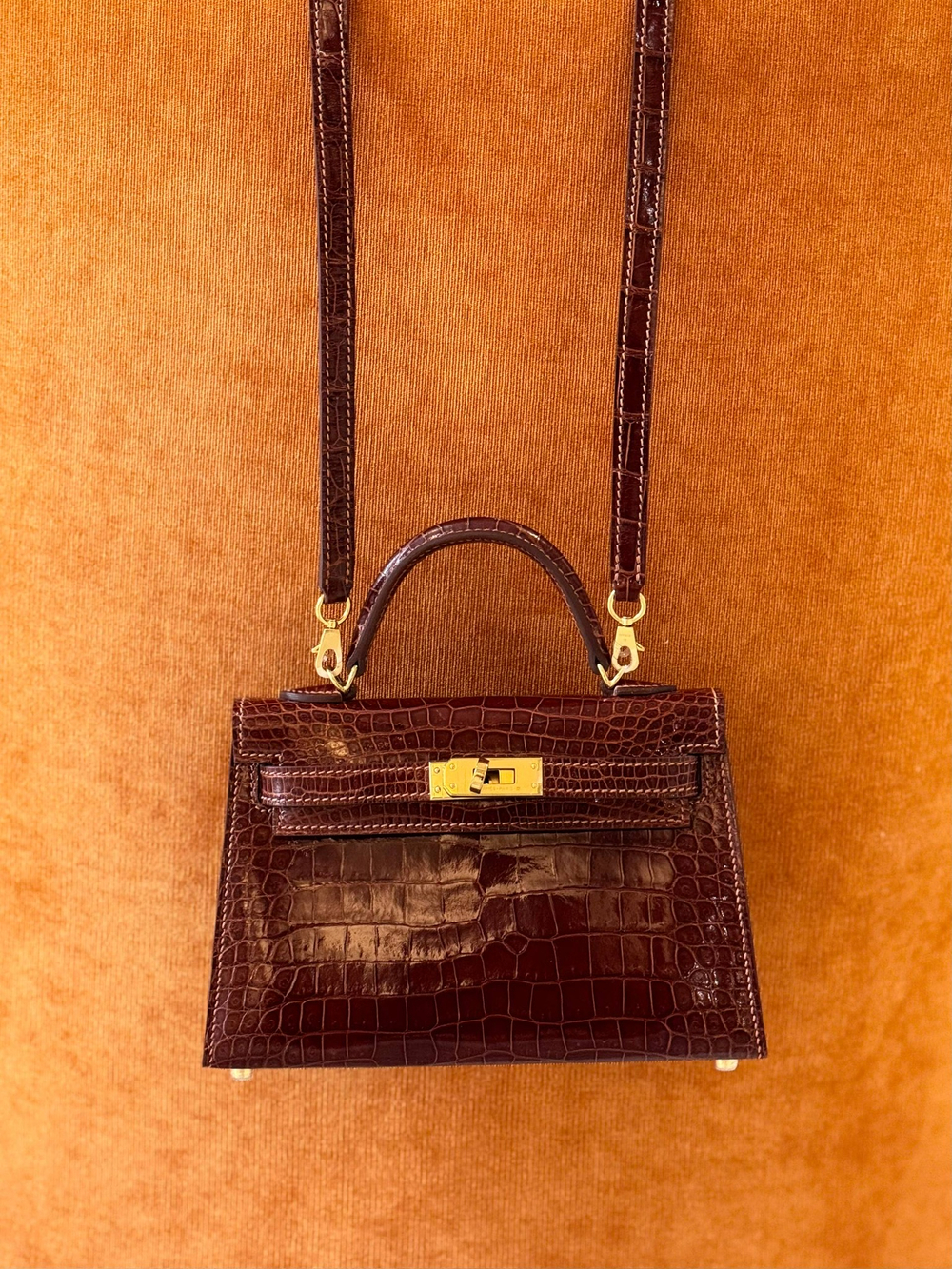 Сумка Hermes из кожи крокодила