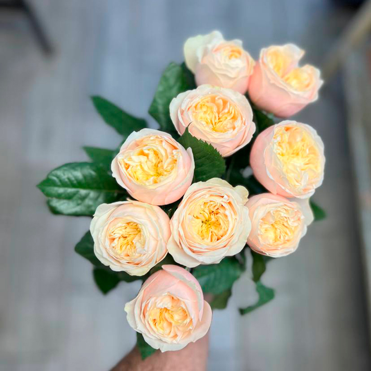 × 2 + 1 Дарлингтон — букет романтических роз