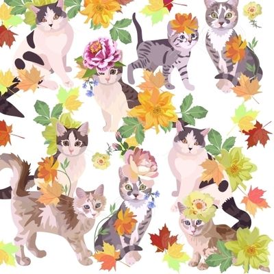 Кошки в цветочных шляпках