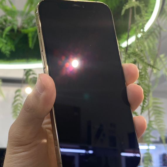 Apple iPhone 12 Pro 256Gb