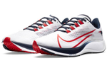 Кроссовки Nike Pegasus 37 "New England Patriots"