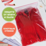 Пакеты с замком ZIP LOCK "зиплок" комплект 100 шт. 250х300 мм ПВД толщина 40 микрон BRAUBERG (2 штуки в упаковке)