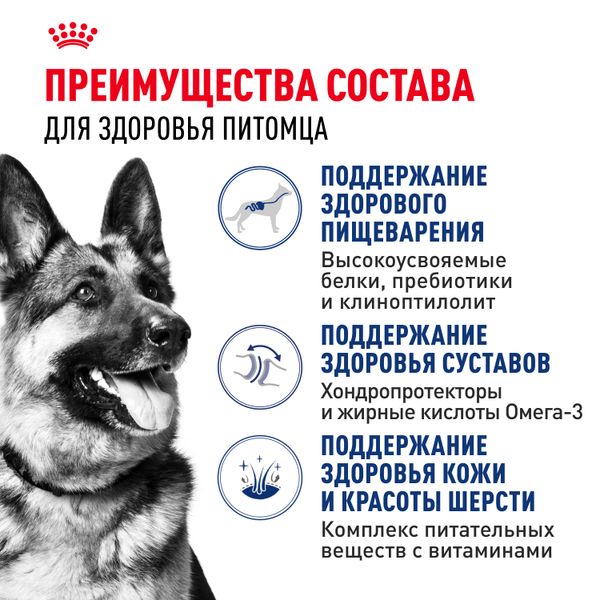 Сухой корм Royal Canin Maxi Adult для взрослых собак крупных размеров от 15 месяцев до 5 лет