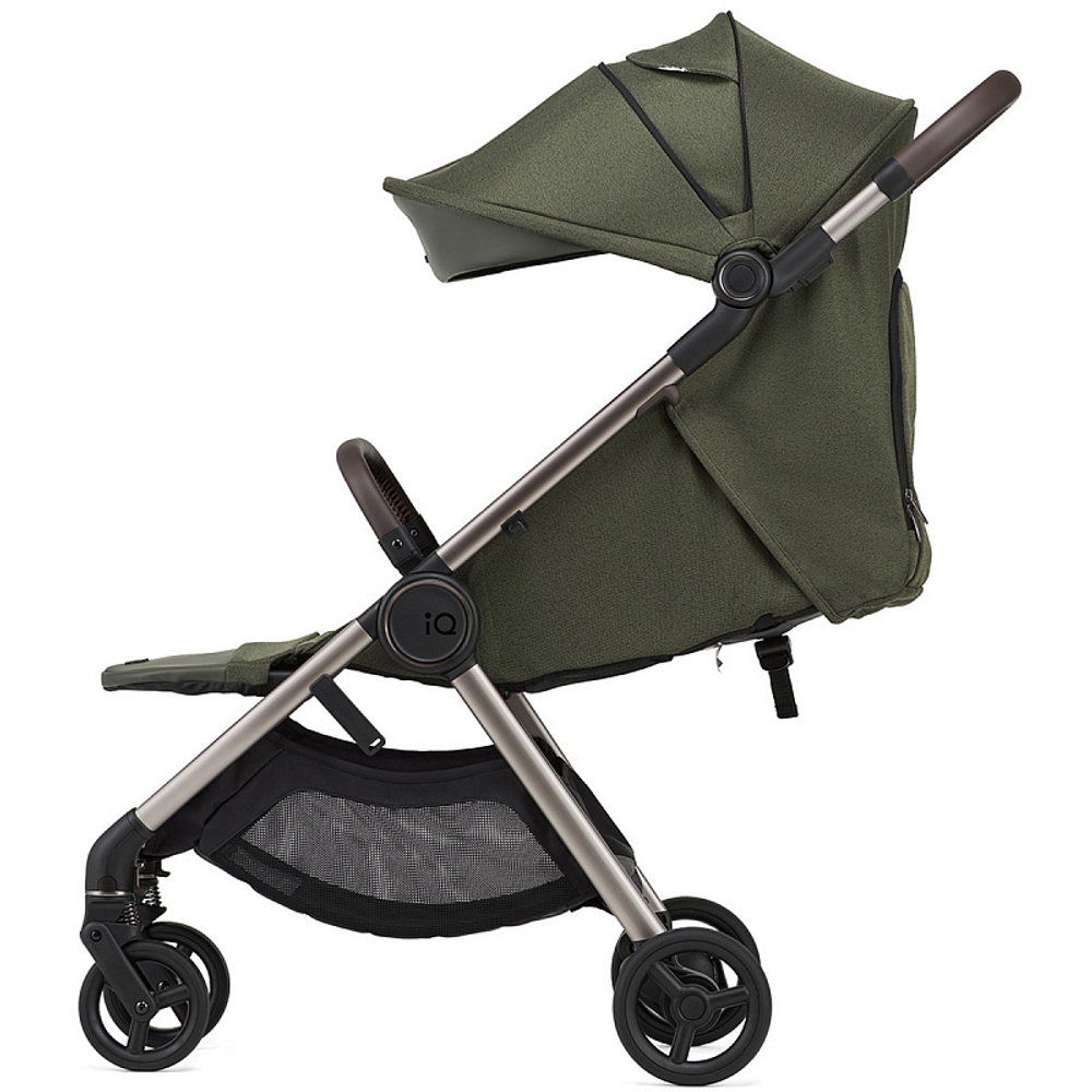 Детская коляска Anex IQ Premium 2 в 1 richi