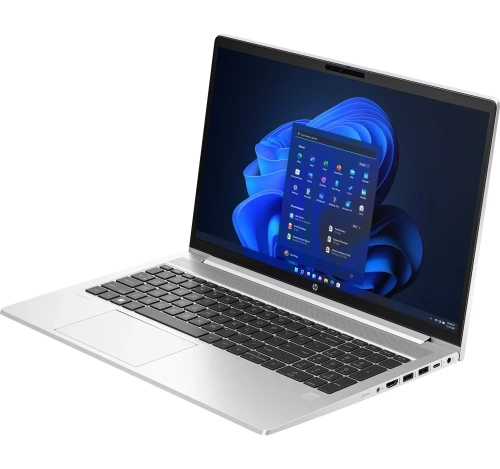 Ноутбук HP ProBook 450 G10 (85B18EA)