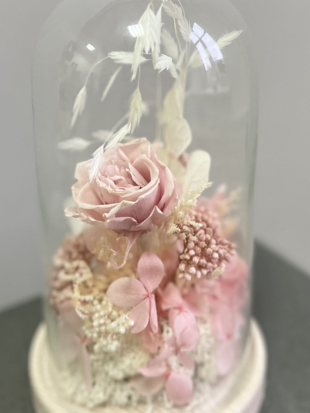 Клош Озотамнус