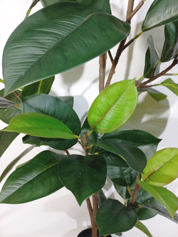 Искусственное растение Фикус Эластика зеленый 130см в кашпо