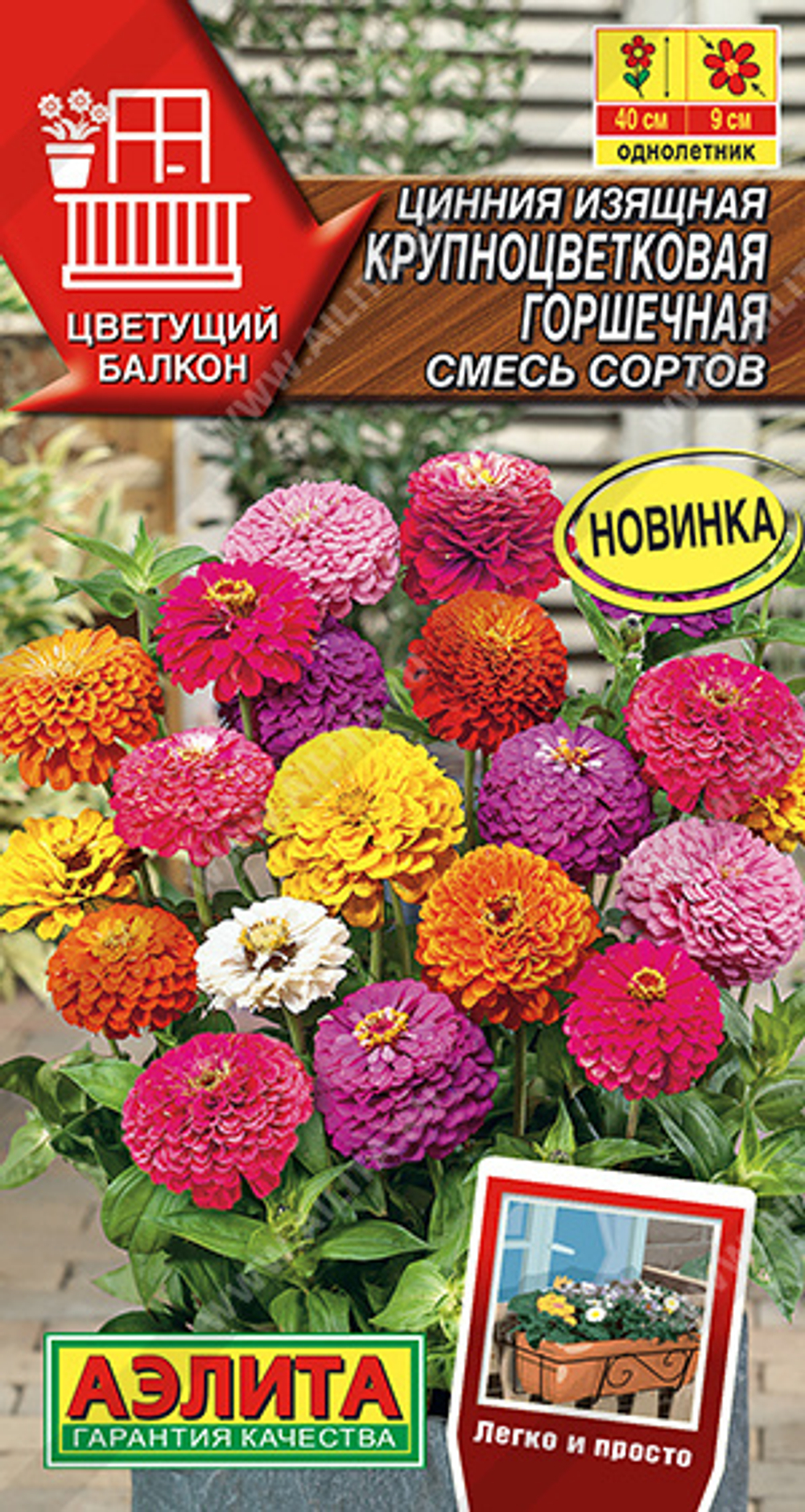 Циния Крупноцветковая горшечная, смесь сортов 12шт Аэлита