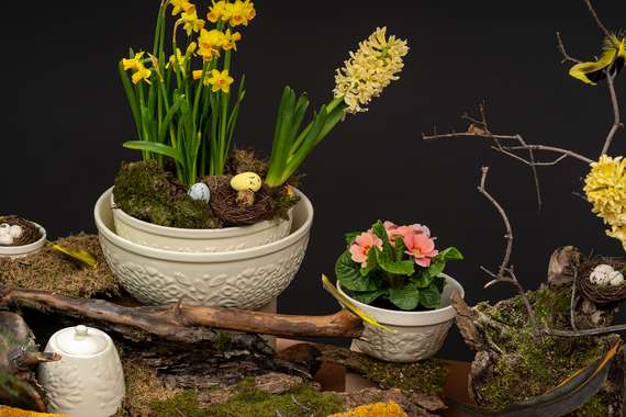 Миска для смешивания birds of paradise, 1,5 л, кремовая