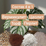 Авторский грунт для Хлорофитума, 1 литр