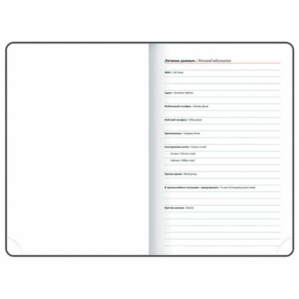 Ежедневник датированный 2025, А5, 138x213 мм, BRAUBERG "Wood", под кожу, держатель для ручки, резинка-фиксатор, серый, 115832