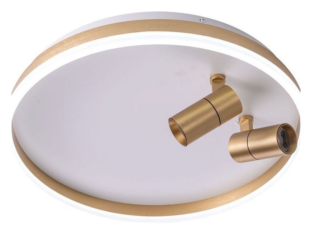 Накладной светильник Zortes Raizy ZRS.1888.02