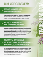 Сбор при заболевании желудочно-кишечного тракта № 20-а