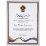 Фоторамка 30*21см «Дипломат» белая с серым, пластик