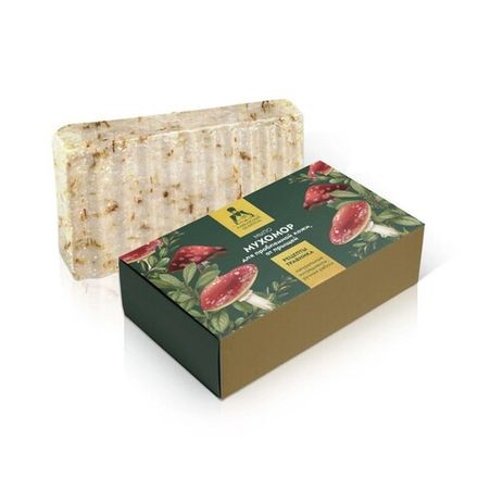 Мыло для проблемной кожи "Мухомор", картон, 100 г, "Кавказский целитель"