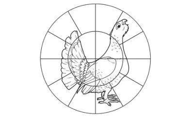 Мишень для пристрелки дробовых ружей 16-дольная Глухарь