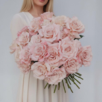 25 французских кремовых роз