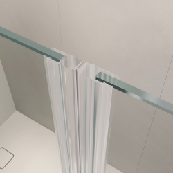 Душевая дверь RGW LE-008 (LE-003 + Z-09 + профиль A-14) (Прозрачное, 900)