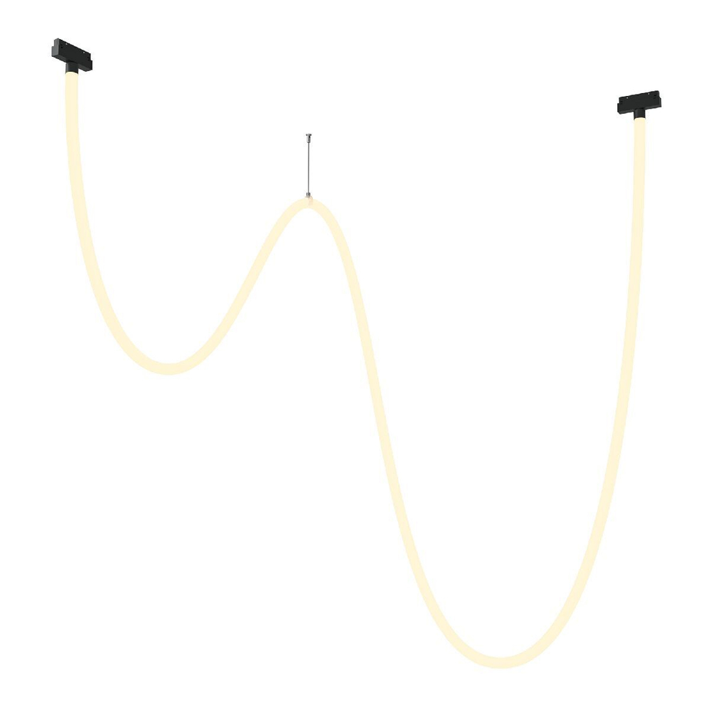 Трековый светильник Maytoni Technical TR101-2-100W3K-B