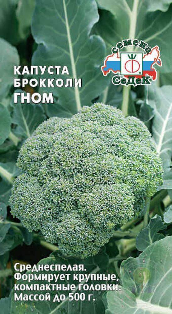 Капуста брокколи Гном 0,5 г. Ц СеДеК