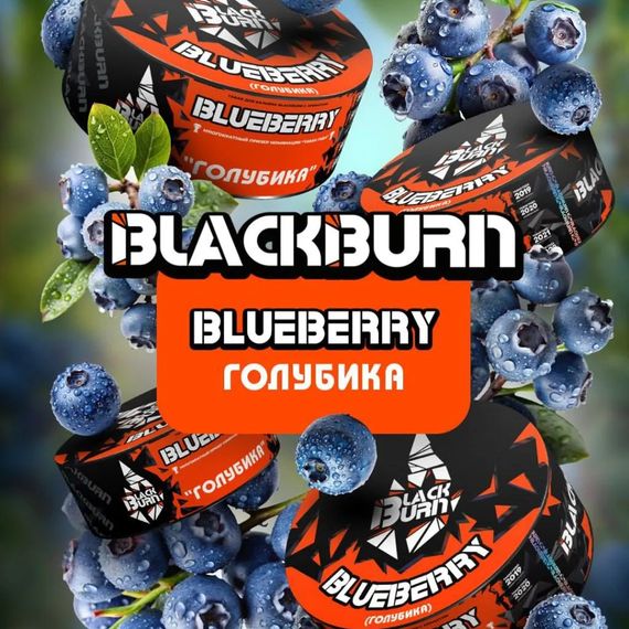 Black Burn - Blueberry
