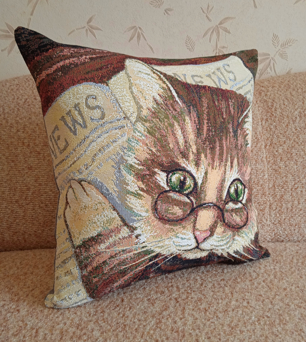 Декоративный гобеленовый чехол для интерьерной подушки Кот ученый 47х47