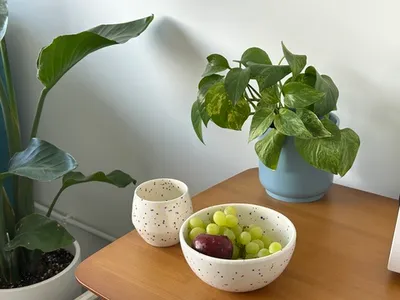 Миска Синичка
