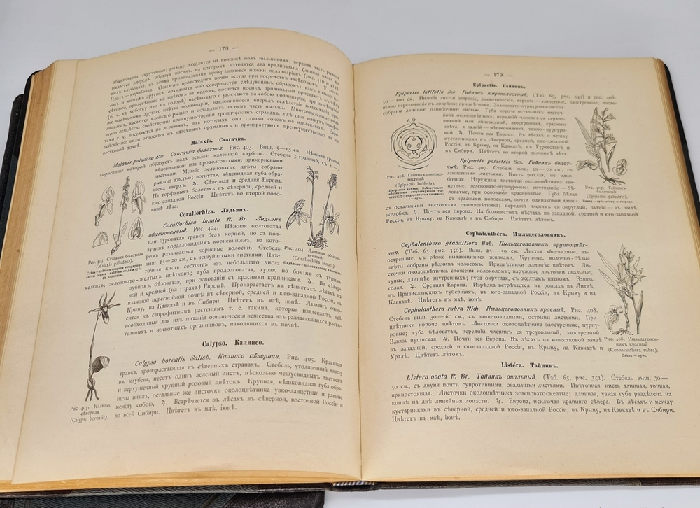 "Ботанический атлас по системе де-Кандоля". К.Гофман. 1899 г. - редкая книга