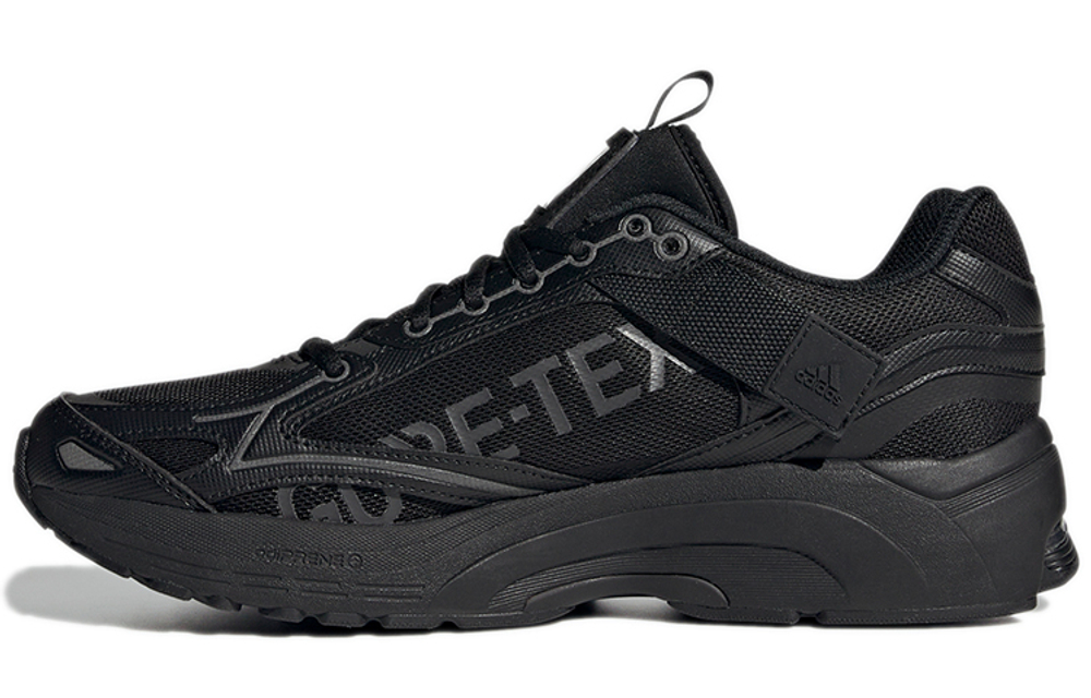 Кроссовки Adidas Spiritain 2000 Gtx