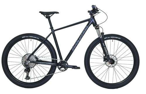 Велосипед 29" EVOLUTION GALLARDO HD, 21", алюм, 12 ск, boost air, черный матовый, 2026