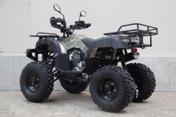 Квадроцикл UNIVERSAL Avenger 250 MECHANICS