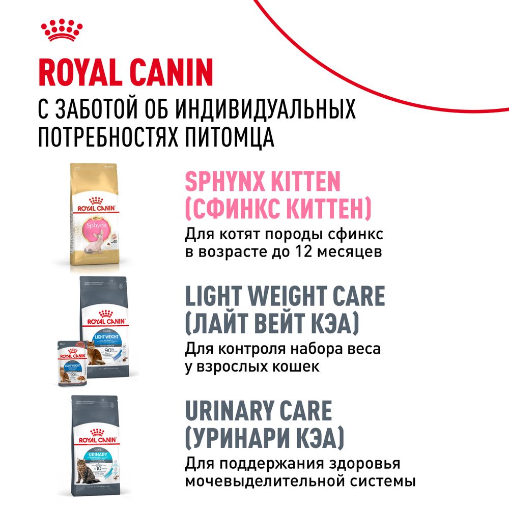 Сухой корм Royal Canin Sphynx Adult для взрослых кошек породы Сфинкс от 12 месяцев Сухой корм Royal Canin Sphynx Adult для взрослых кошек породы Сфинкс от 12 месяцев
