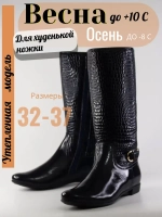Сапоги школьные демисезонные