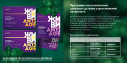 Batel. Нативный органический комплекс для нормализации давления с витамином В5 и лекарственными травами