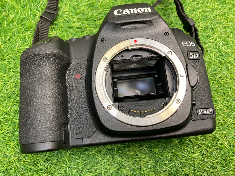Canon EOS 5D Mark II 4.300 кадров