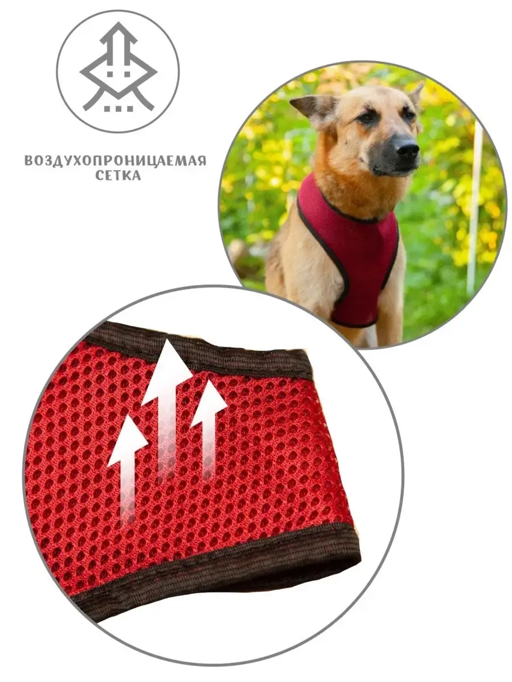 Шлейка жилет для собак и кошек прогулочная