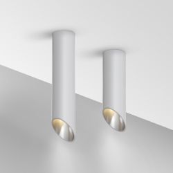 Потолочный светильник Maytoni   C025CL-01W