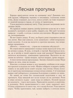 Порядок на планете
