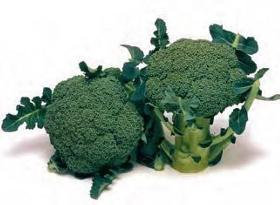 МАРАТОН F1 семена капусты брокколи Sakata цена – фото 2