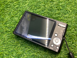 Sony W550