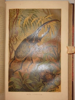 "Иллюстрированное издание " Жизнь животных " А.Э.Брэма в десяти томах". Альфред Эдмунд Брэм. 1896г.