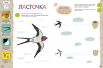 Большая книга животных. 2-4 года