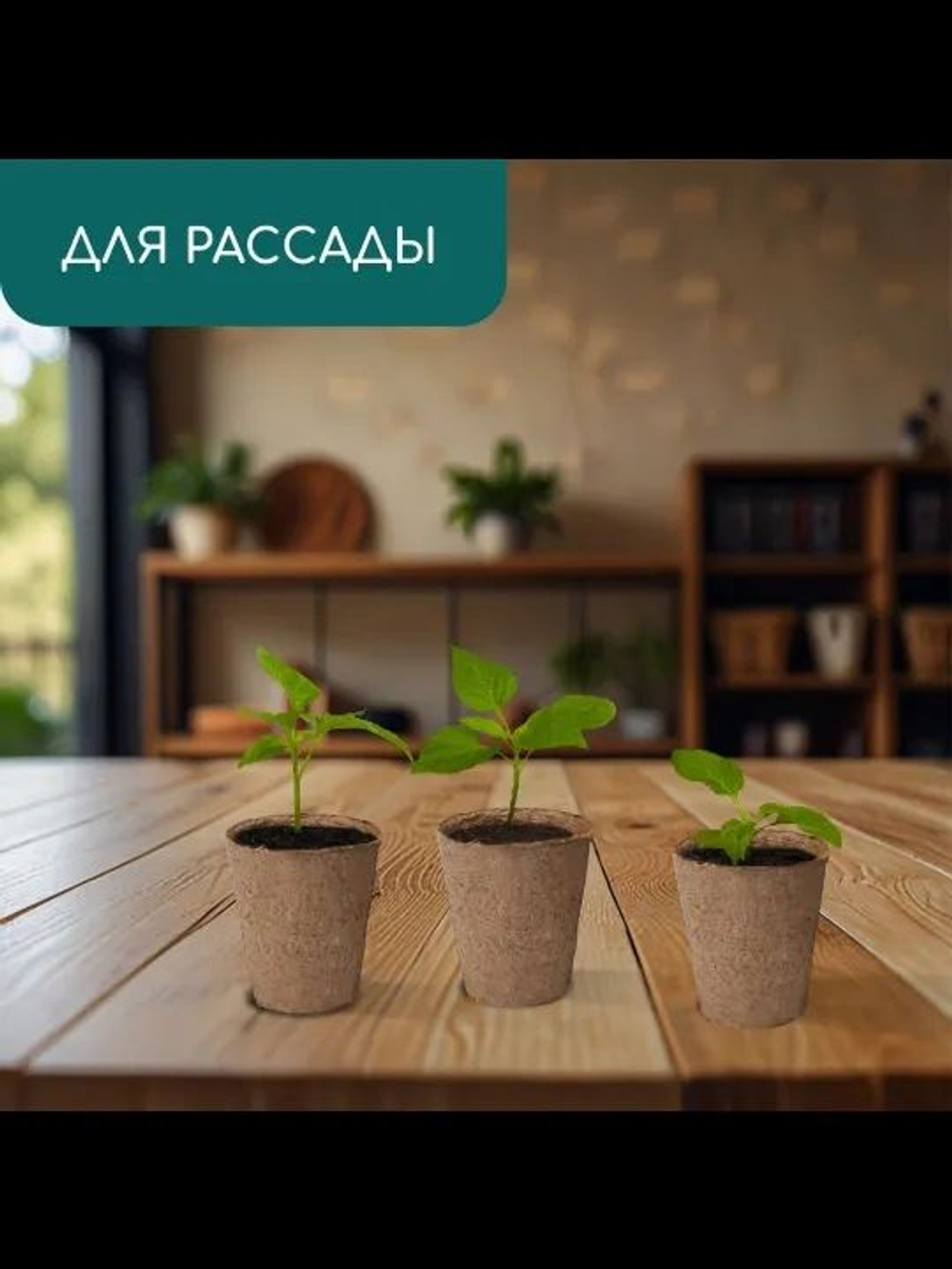 Горшок для рассады, 100 мл, d 6 см, h 6.5 см, торф, Greengo