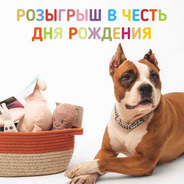 Розыгрыш в честь дня рождения магазина!
