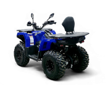 Квадрицикл Bizon YK250 LUX EFI ПТС