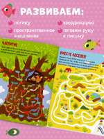 Лабиринты. 25 весёлых лабиринтов для маленьких озорников