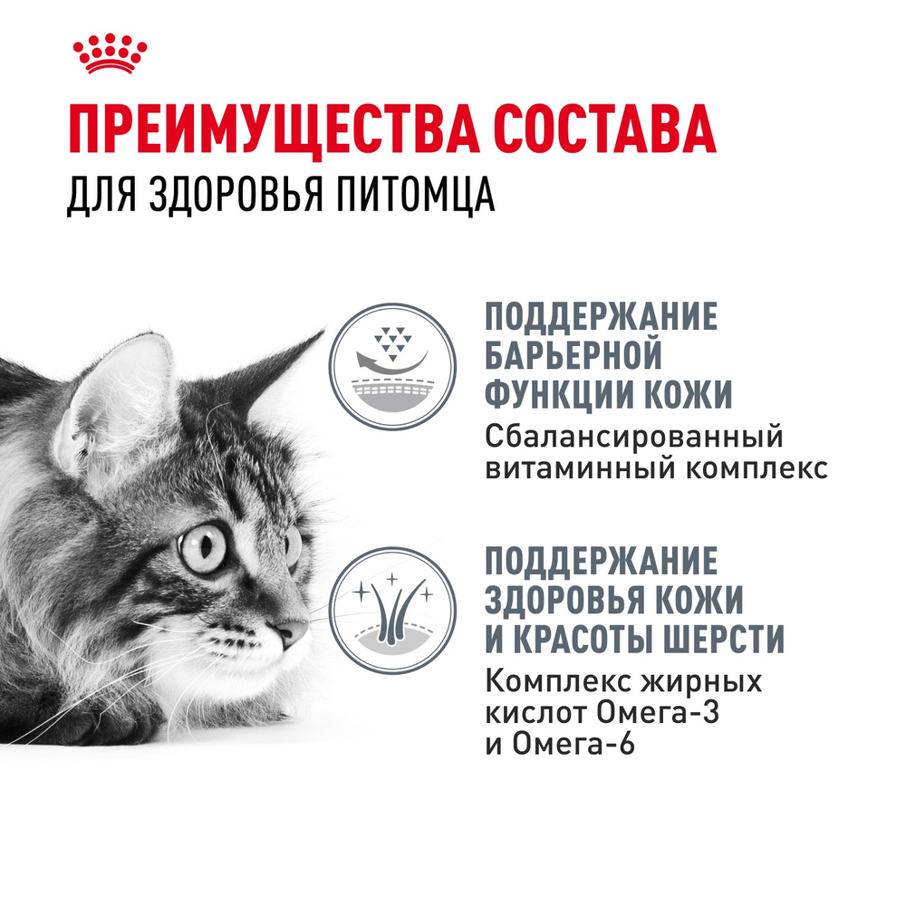 Royal Canin Hair&Skin Care Хэйр Энд Скин Кэа Корм сухой для взрослых кошек поддержание здоровья кожи и шерсти 400г